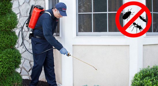 Çamaş Akrep İlaçlama böcek ilaçlama ve haşere kontrolü — ilaclama-tr.com